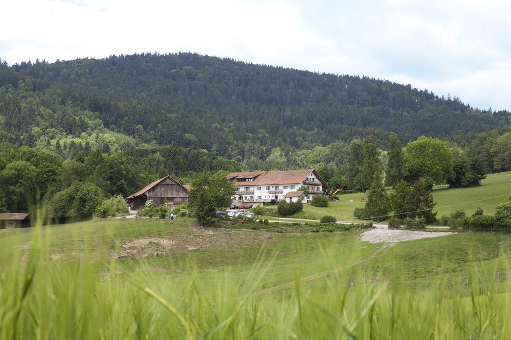 Wild-Berghof Buchet Hotell Bernried Rum bild